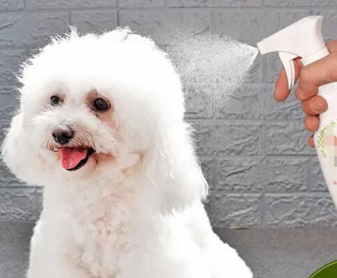 進口寵物香波需要什么手續(xù)?(寵物香波進口報關(guān)手續(xù))